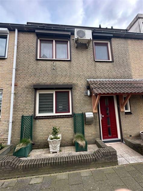 Kleurkeuzes voor voegwerk: voorbeelden per stenenkleur