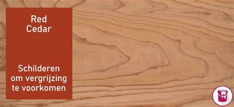 Infographic: kleurvariaties en vergrijzing van Western Red Cedar