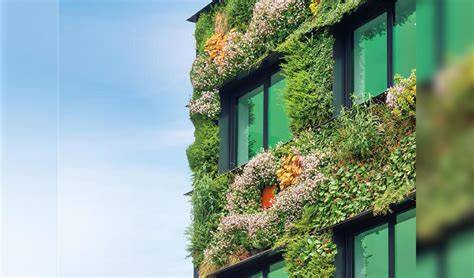Infographic: werking groene gevels en koel- en ecosysteemvoordelen