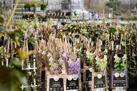 Foto: De Kwekerij in Utrecht met circulaire materialen