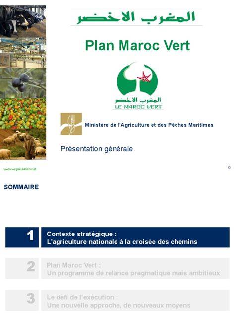 Plan Maroc Vert en samenwerking met Nederland infographic