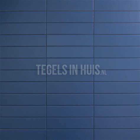 Samplevisualisatie van Sicoria Grijs Blauw tegel