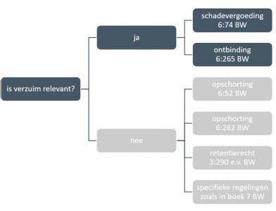 Infographic: Opleverdatum, ingebrekestelling en schadevergoeding