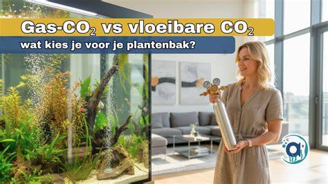 Diagram: verschillende maatregelen bij maaivelddichting (injectie vs coating)