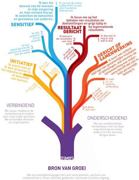 Samenvattende infographic: Kernwaarden, structuur en impact