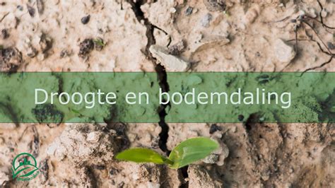 Infographic over droogte, bodemdaling en funderingen in Nederland
