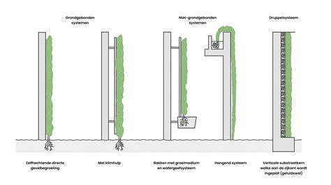 Infographic: Voordelen van groene gevels