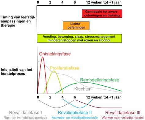 Infographic over fases funderingsonderzoek en herstel