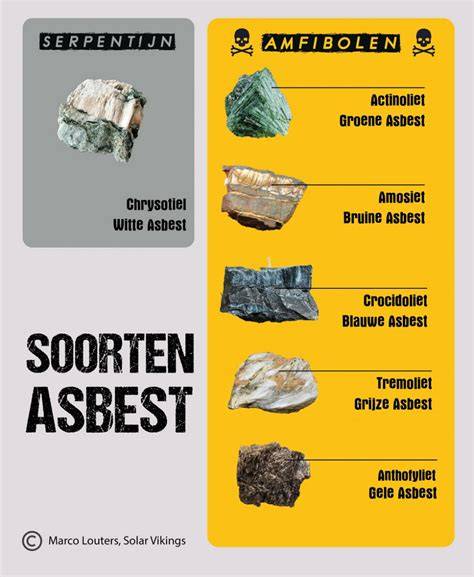 Infographic: Soorten asbest en kenmerken (Serpentijn vs Amfibool)