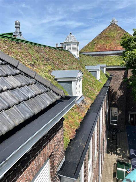 DRS EPDM garantie en vakmanschap