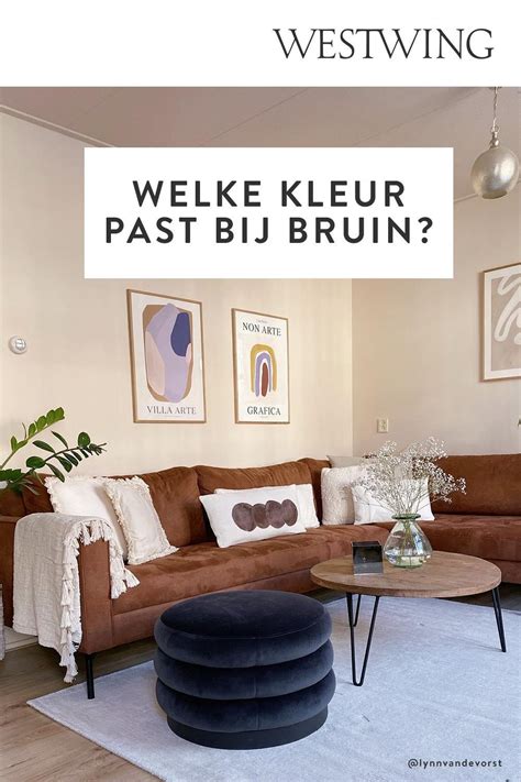 Infographic: welke pleister past bij mijn muur