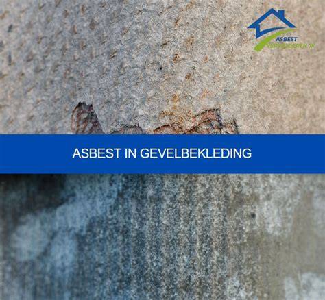 Diagram: verschillende plafondplaten met asbest