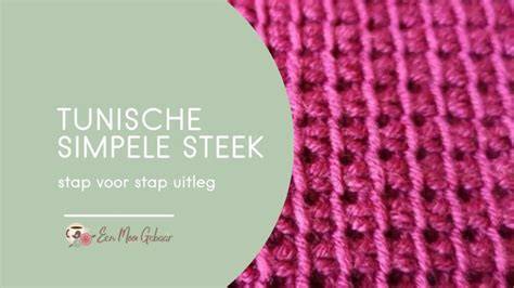Infographic tunische haken: basiskenmerken en veelvoorkomende steken
