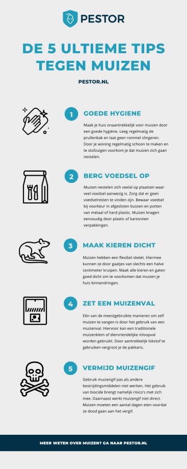 Infographic: Dakgootborstels als barrière tegen muizen