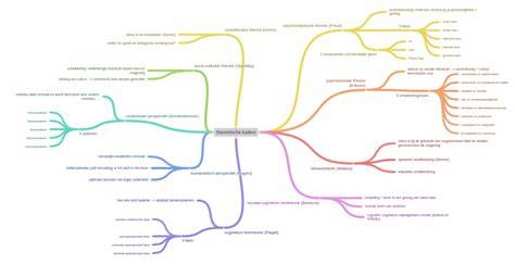 Diagram: normatieve kaders NVM-koopakte