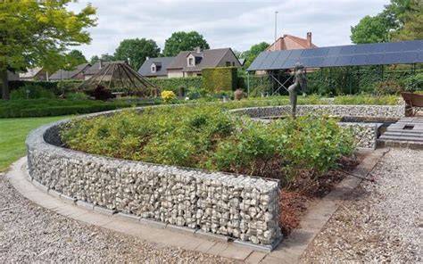 Biodiversiteit rond schanskorf: habitat en klimplant