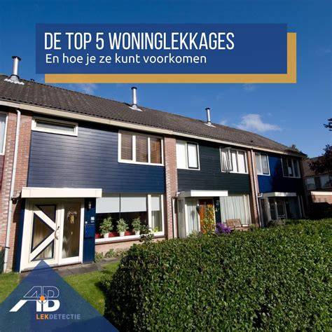 Infographic: veelvoorkomende lekkages bij dakdetails