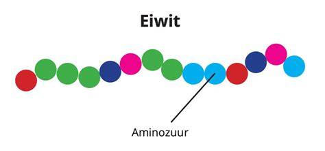 Schema: Welke eiwitten combineren voor een compleet aminozuurprofiel
