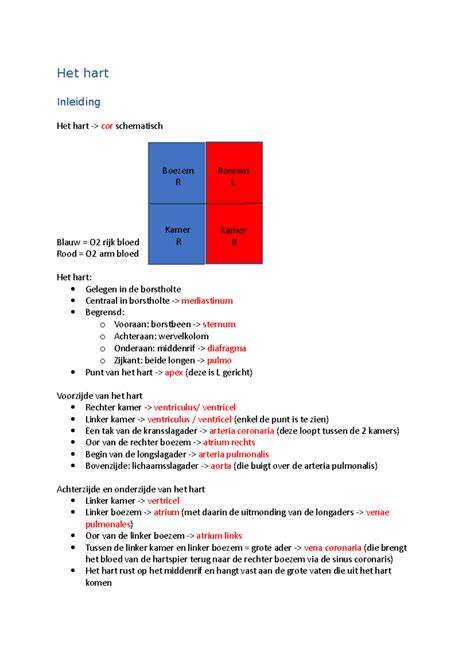 Hartlijn en eerste V-lagen schematisch