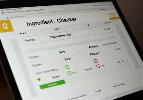 Beeld: Daklast checker interface