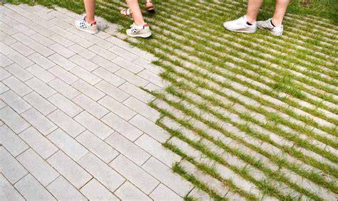 Infographic: Verdeling groen vs. bestrating en waterdoorlatende opties