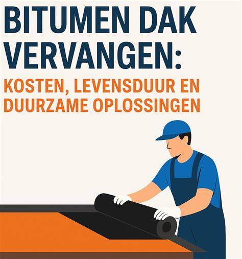 Infographic: kosten en garantie bitumen dak