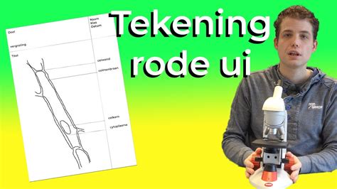 schematische tekening van een kattenhek met een naar binnen gerichte, zachte bovenrand