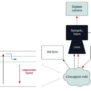 Schematische weergave van Spot-UV processtappen