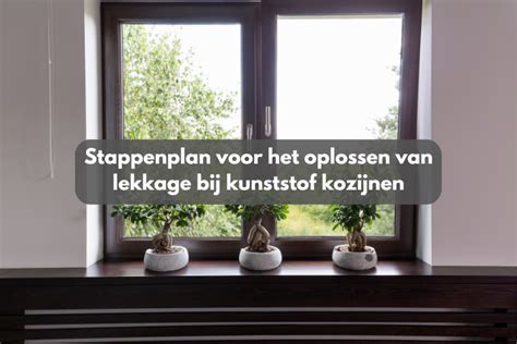 Infographic: Oorzaken en oplossingen voor kraken en lekkage bij kunststof dakkapellen