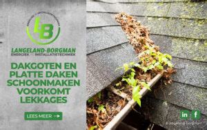 Top-Roof infographic: platte daken en lekkages