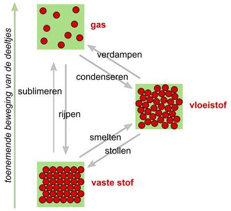 Diagram van leverontgifting en twee fasen van detoxificatie