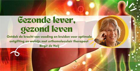 Infographic: Detoxfasen en elk orgaan dat bij ontgifting betrokken is