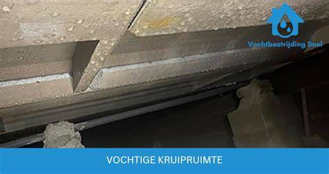 Infographic: Oorzaken en Oplossingen voor Vochtige Kruipruimte