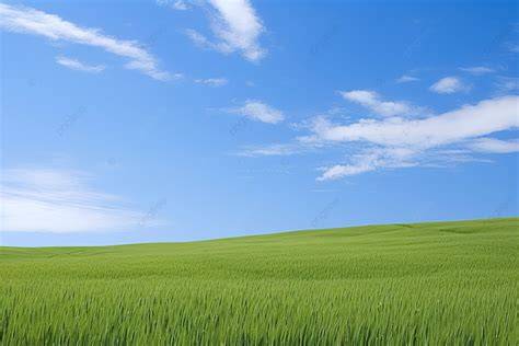 Grasgronden behangillustratie met grasveld en lucht