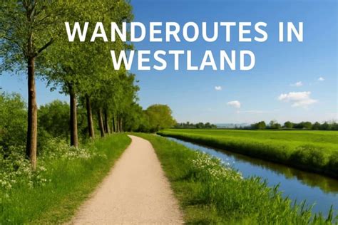 Diagram: Routes voor subsidieaanvragen Westland