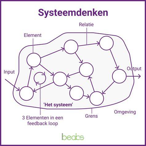 Infographic: basisprincipes van metselen voor kleuters