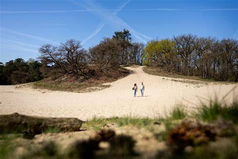 Infographic: kaart van de Drunense Duinen en start/finishlocatie