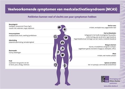 Infographic: veelvoorkomende IKEA badkameropstellingen en maatvoering