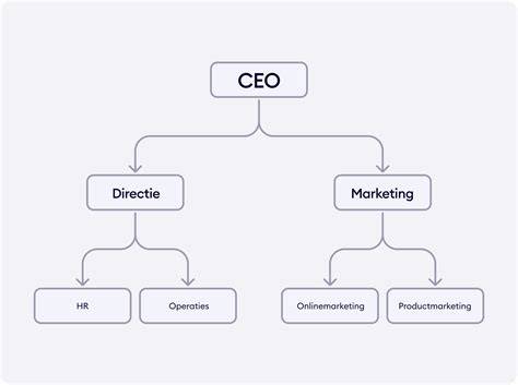 organogram installatiebranche functies