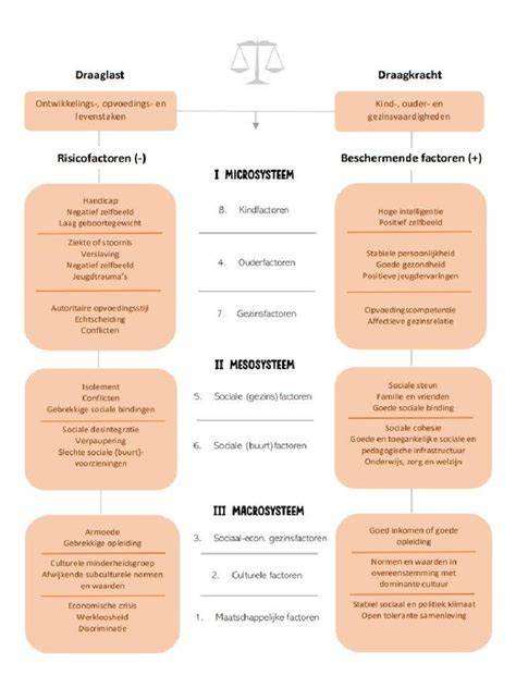 Infographic: Overzicht bestratingstype, draagkracht en onderhoud