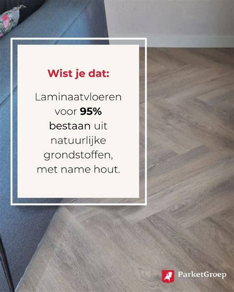 Infographic: Onderhoudsposter voor laminaatvloeren - droog en vochtig onderhoud, vlekken verwijderen