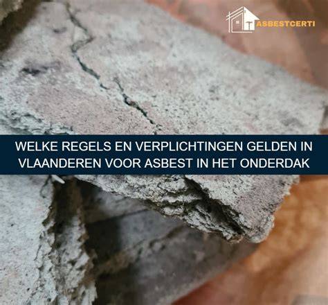 Infographic over asbest sanering stappen en regels in Horst aan de Maas