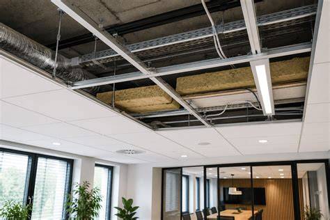 Illustratie van een systeemplafond met knaagdieractiviteit (diagram of foto van plafond met kabels en ongedierte)