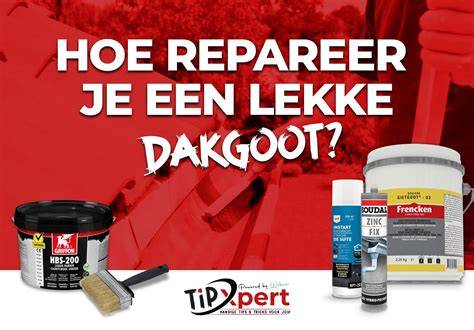 Infographic: Correcte stappen voor gipsplaat reparatie
