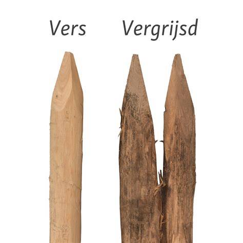 Informatiekaart: Trillingsvrije vs. traditionele palen