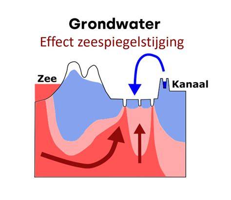 Diagram: Mechanismen van verzilting en herstelmaatregelen (estuariale zoutindringing, spuisluizen, vispassages)