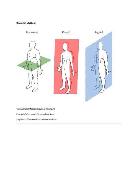 Diagram: Reien, vlakken en drogingstijden