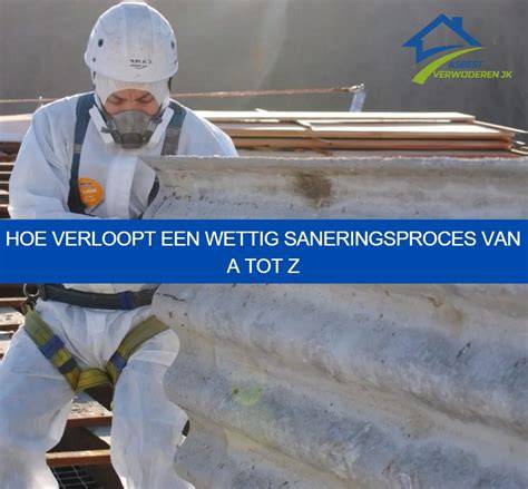 Diagram: stappen plan asbestverwijdering en sanering