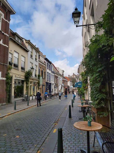 Infographic: Renovatieprojecten in Breda (Calandstraat, Jacob Romanstraat, Veemarktstraat)