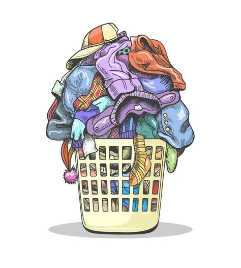 Illustratie van diverse wasmand-stijlen en materialen